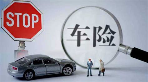 中国车险十大排名，车险口碑最好的保险公司-猎天网