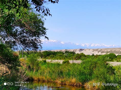 【美丽的石河子摄影图片】新疆石河子风光摄影_太平洋电脑网摄影部落