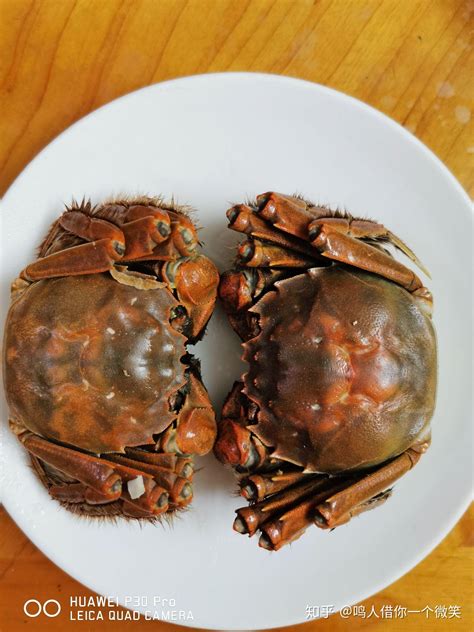 蒸螃蟹需要多长时间是冷水下锅还是热水下锅，15分钟建议冷水 — 久久经验网