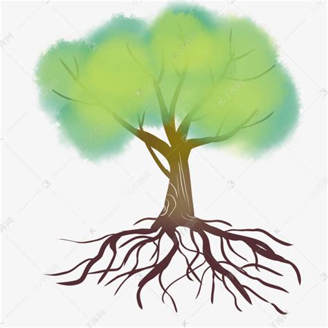 植物大树树根素材图片免费下载-千库网