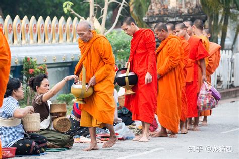 印顺大和尚率中佛协代表团出席泰国代僧王荼毗仪式|印顺大和尚|僧王_凤凰佛教