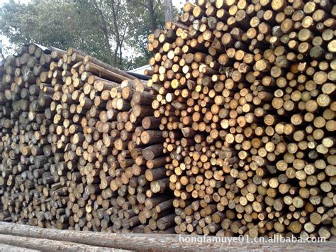 一手货源直供各种规格杉木桩 1-8米杉木 杉木圆木桩 杉木桩价格-阿里巴巴