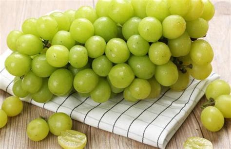葡萄种类有哪些，葡萄的品种图片及名称大全 - 鲜淘网