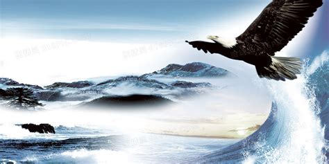 大气磅礴雄鹰展翅飞翔企业背景背景图片下载_4724x2362像素JPG格式_编号1kjf2q84v_图精灵