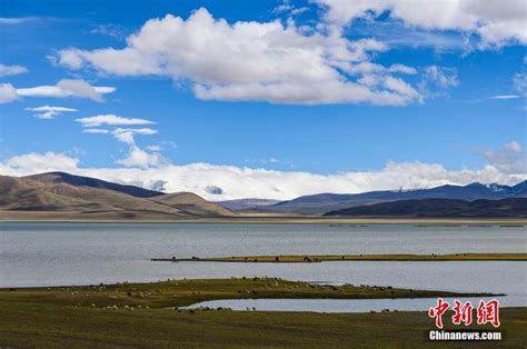 西藏双湖县：海拔最高的“人间奇迹”_荔枝网新闻