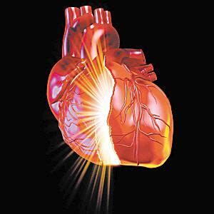 保护心脏图片-保护心脏图片素材免费下载-千库网
