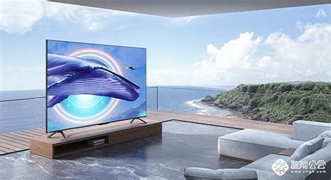 43寸液晶电视尺寸_43寸液晶电视尺寸多大 - 随意云