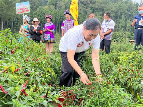 关于更新石柱县城镇国有建设用地使用权土地级别及基准地价的通知 _ 部门动态 _ 石柱土家族自治县人民政府