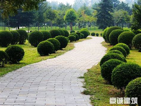 园林绿化工程-苏州万成建设工程有限公司