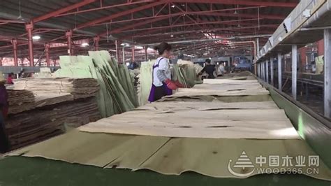 泗阳南刘集乡助推木材加工和家具制造企业转型升级-中国木业网