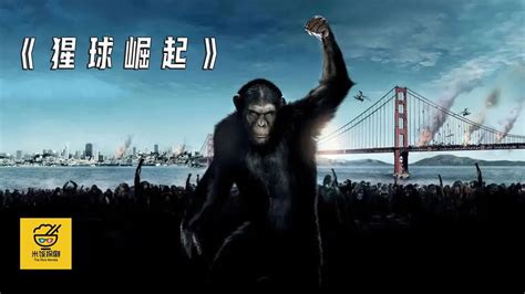 男子被猩猩攻击，幸好被猩猩首领所救，原来猩猩也会这个手势_电影_高清1080P在线观看平台_腾讯视频