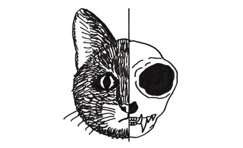 《薛定谔的猫》电影_高清完整版-免费在线观看【七猫影视】