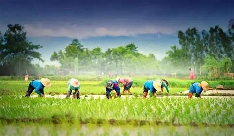 三农视角读报告：如何实现农业农村现代化？（上）_凤凰网视频_凤凰网