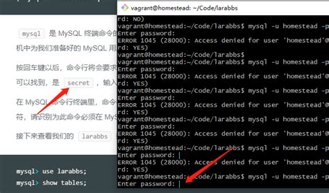 Enter password: 为什么我无法输入密码？ | Laravel | Laravel China 社区