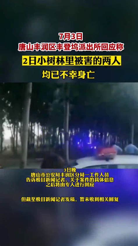 河北唐山一处小树林里两人被害，刑警已介入|河北省|唐山市|刑警_新浪新闻