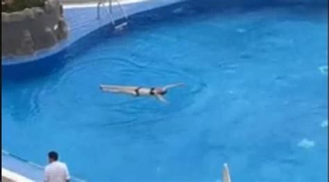 视频-英女游客违反西班牙酒店防疫规定游泳被拖上岸逮捕_手机新浪网