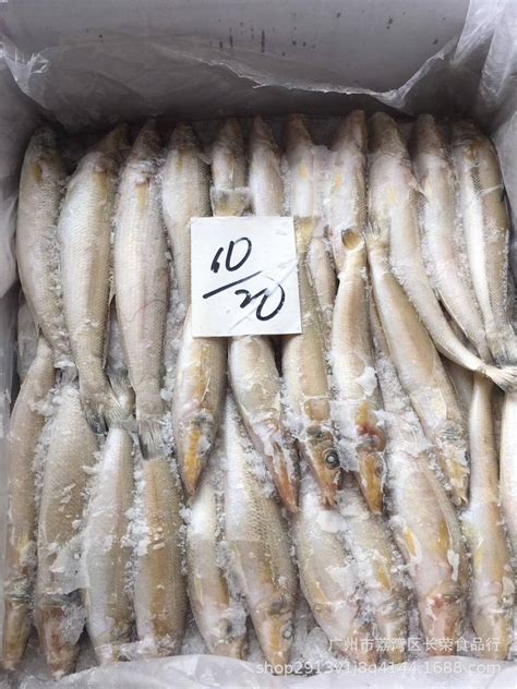 沙丁鱼冰鲜速冻水产 带冰20斤/件冷冻批发海鱼烧烤小吃食材沙尖鱼-阿里巴巴