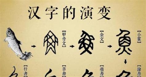 汉字演变：小汉字大情怀，传承数千年的文化，就靠它们！|汉字|演变|情怀_新浪新闻