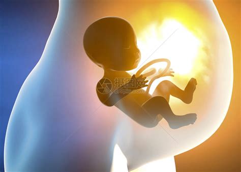 怀孕的妇女和孩子在子宫里腹段与胎儿生长高清图片下载-正版图片507447626-摄图网
