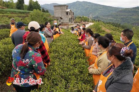[暑期社会实践]赴福建省南靖县梅林镇社会实践小队:土楼茶文化对当地居民的影响