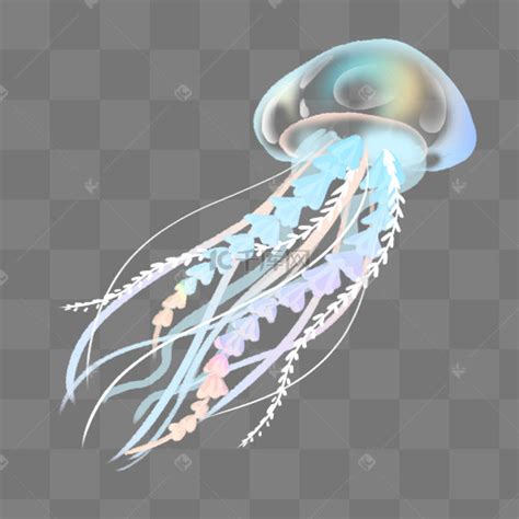 水母动画图片-水母动画图片素材免费下载-千库网