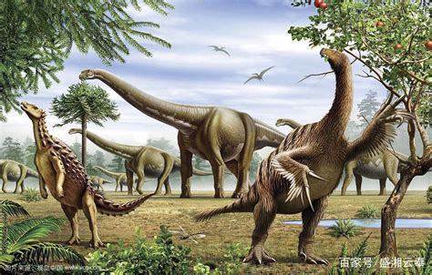 恐龙为什么灭绝了（恐龙灭绝的真正原因） – 碳资讯