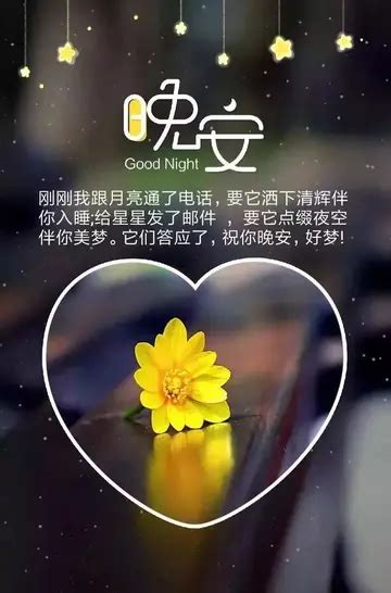 晚安句子温柔头像女生
