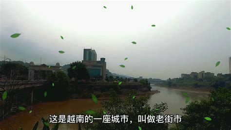 2023年中越跨国春节联欢晚会暨边民大联欢活动举行 - 云南新闻 - 云桥网