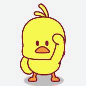 表情包(小黄鸭)图片