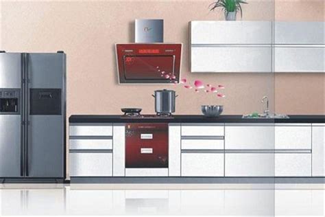 2019厨房电器排行榜_厨房电器哪个品牌好 厨房电器十大品牌排名_中国排行网