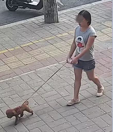 牵着狗的女孩高清图片下载-正版图片501494386-摄图网