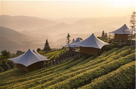 普洱倚象山半山酒店-坐落于漫山茶田，缥缈山景之中，与自然景观融为一体的主题酒店