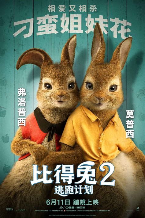 《比得兔2：逃跑计划》先导预告海报双发 原班人马再掀吸兔狂潮 - 360娱乐，你开心就好