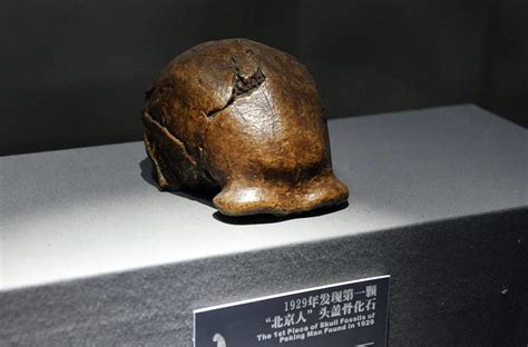 探索史前旧石器时代的古人类：北京人_翻历史网