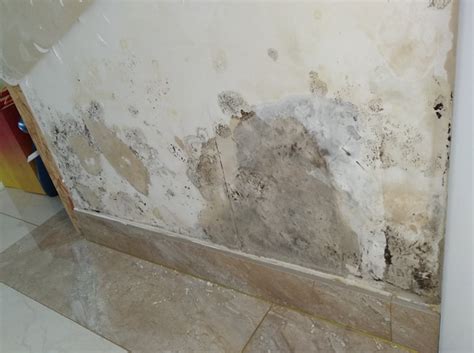 常见卫生间周边墙角粉化、剥落，这样做才能根治_青龙家装防水