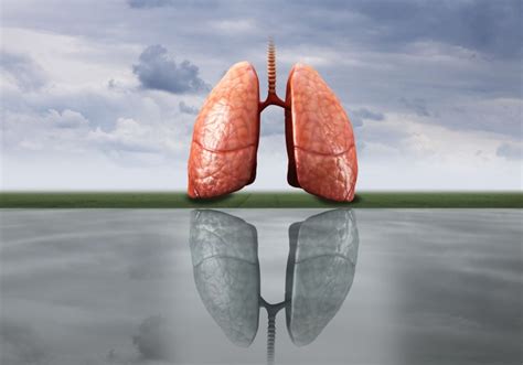 确诊肺癌的标准是什么？