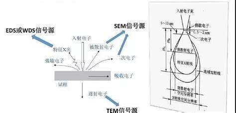 全面了解SEM扫描电镜|扫描电镜工作原理|百贺仪器