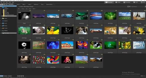 Download free ACDSee 8 Photo Manager by ACD Systems software 21899