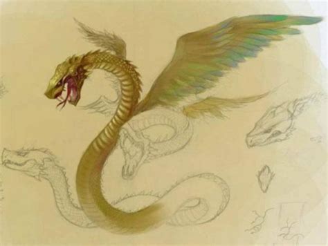 神兽:龙插画图片壁纸