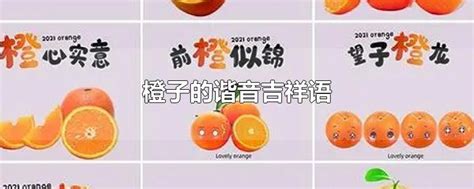 橙意logo及包装|平面|品牌|Xu小展 - 原创作品 - 站酷 (ZCOOL)