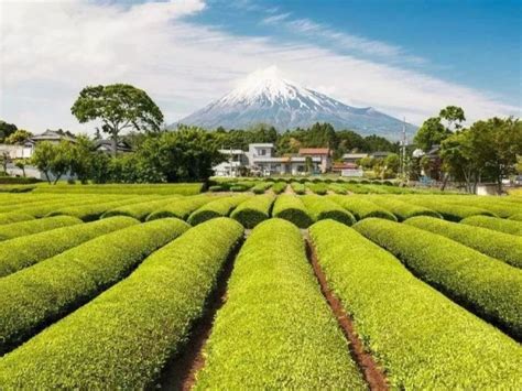 去日本农业考察：日本农业值得我国借鉴的地方-行与知商务考察