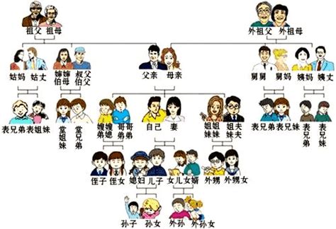 亲戚关系图图片