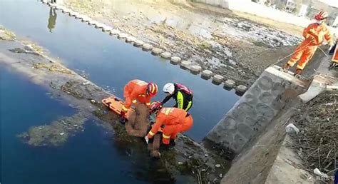 两名儿童落入河中，多名群众合力施救_凤凰网视频_凤凰网