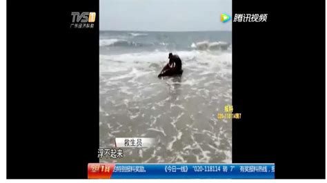广东台今日关注报道：茂名隔壁海边惊现一条受伤搁浅的鲸鱼！最后被人…-搜狐大视野-搜狐新闻