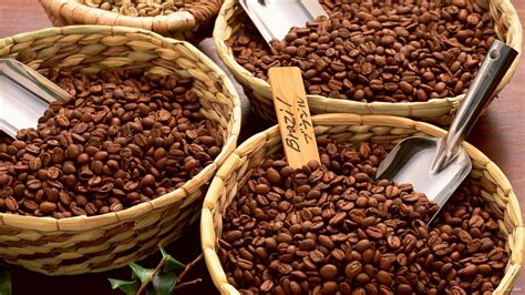 厄瓜多尔的产品和品种产地介绍 中国咖啡网