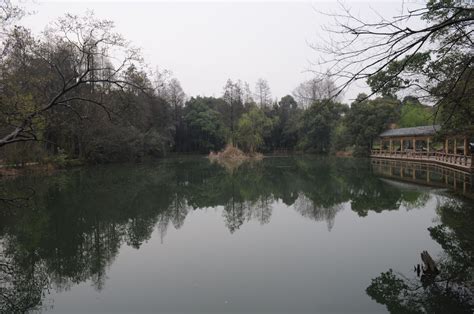 2022东湖听涛景区游玩攻略,就是湖景公园，步行到游船码... 【去哪儿攻略】