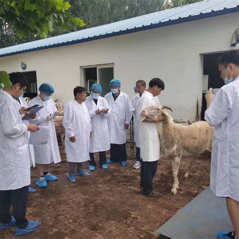 省畜牧兽医研究所在合水县开展高产优质苜蓿种植和奶山羊养殖技术培训 @ 甘肃三农在线