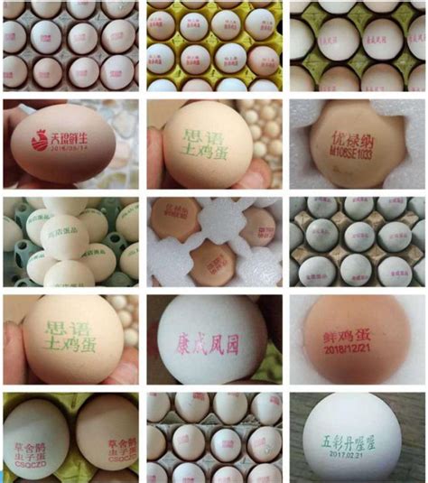 鸡蛋标签设计图__包装设计_广告设计_设计图库_昵图网nipic.com