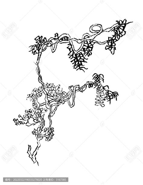 手绘缠绕藤曼素材,植物花草,设计素材,设计模板,汇图网www.huitu.com