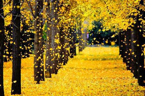 秋收冬藏完整的诗句有哪些-百度经验